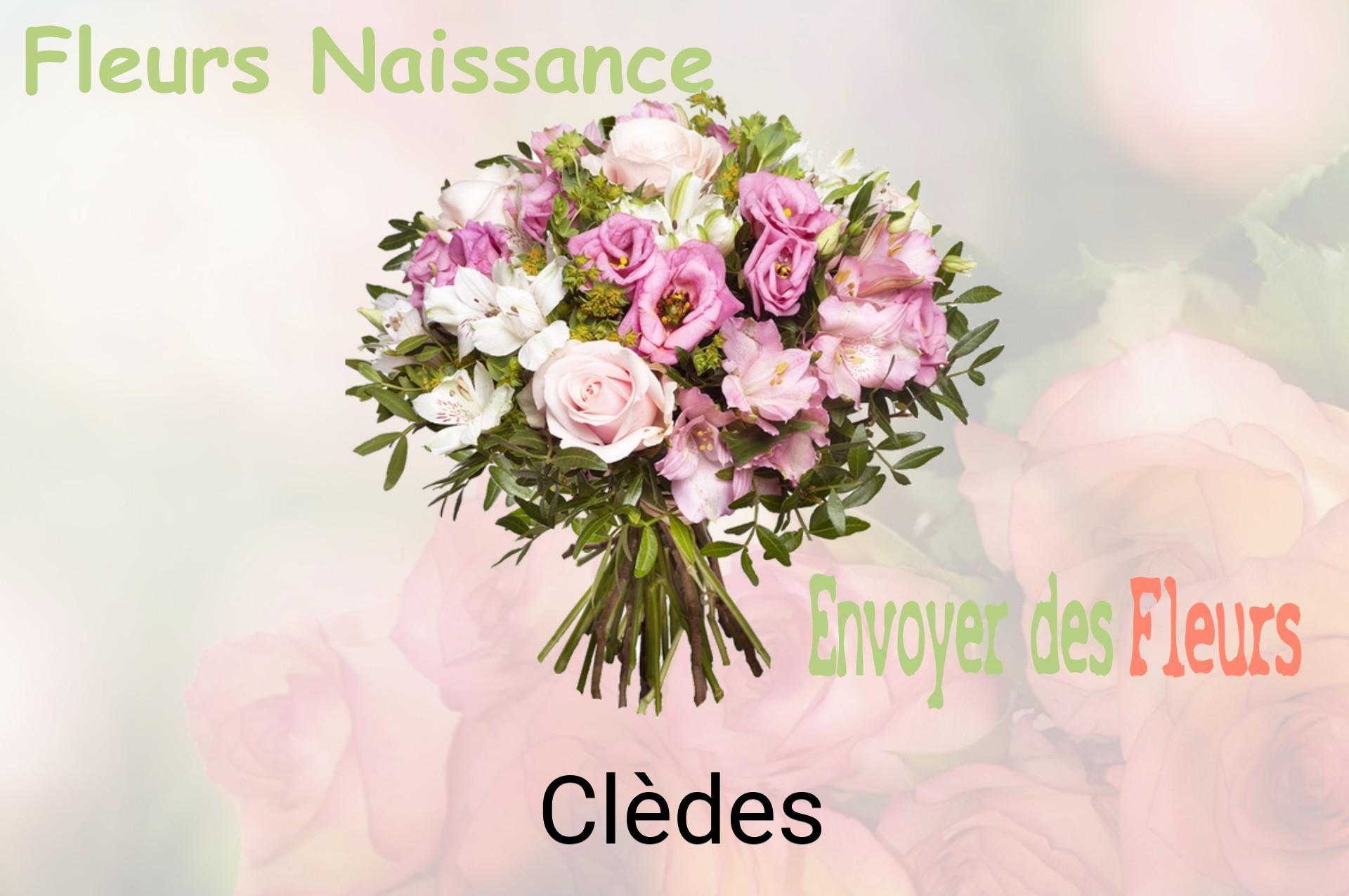 Bouquet de fleurs de naissance livré à Clèdes
