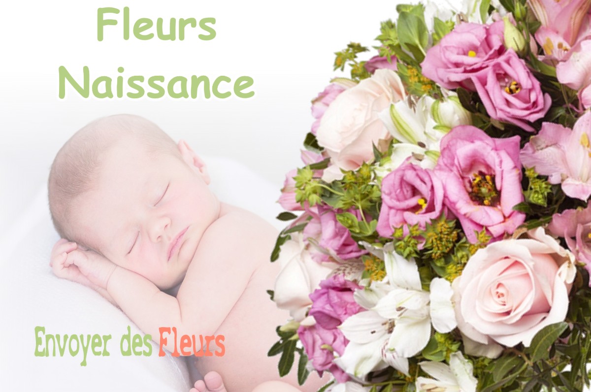 lIVRAISON FLEURS NAISSANCE à CLEDES